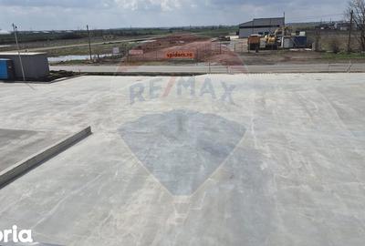 Spațiu comercial, de 2,645 mp, în Tunari - 14