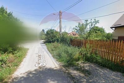 Teren Construcții intravilan de 2642 mp, în Periș - 5