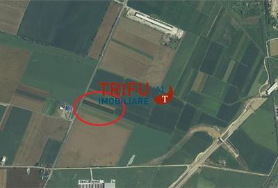 Teren de 5800 mp, în Sântimbru - 4