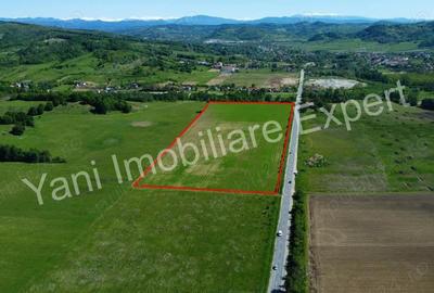 Teren de 69700 mp, în Tigveni - 3