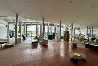 Hala/Showroom 1400mp Calea Moldovei - 12