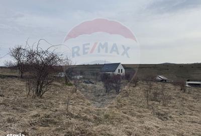 Spațiu comercial, în Sălicea - 17