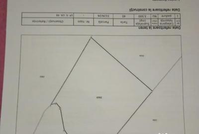 Teren de 3500 mp, în Provița de Jos - 1