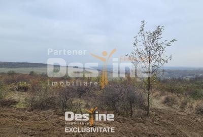 Teren Construcții intravilan de 900 mp, în Vișani - 4