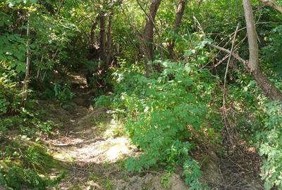 Teren de 3600 mp, în Gura Văii - 5