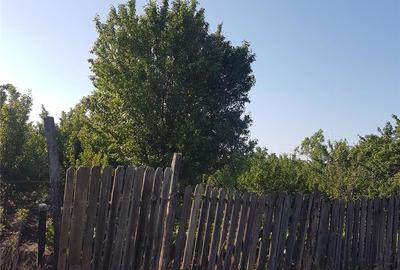 Teren de 1300 mp, în Mihăești - 9