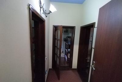 Casa cu 5 dormitoare, 170 mp utili, 500 mp teren, Podu de Fier - 17