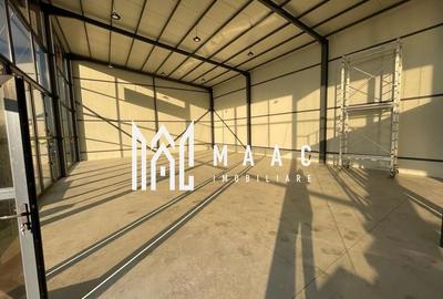 Hala | 250 MP |  Teren 3900 MP | - 8