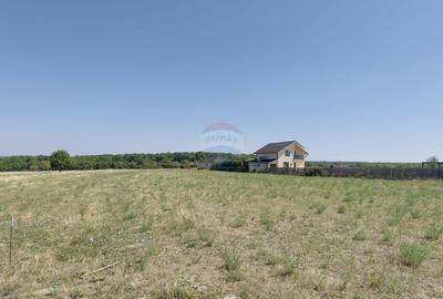 Teren Construcții intravilan de 2841 mp, în Apateu - 17