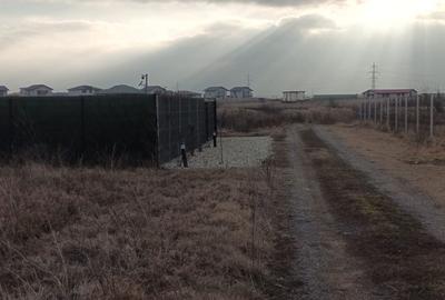 Teren Construcții intravilan de 376 mp, în Berceni
