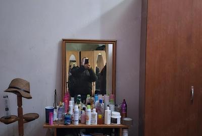 Casă cu 2 camere în Parcul Carol - 1