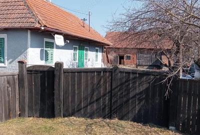 Casă cu Teren 1000 Mp în Central - 5