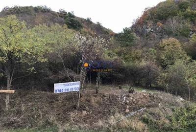 Teren Construcții intravilan de 1079 mp, în Băile Herculane