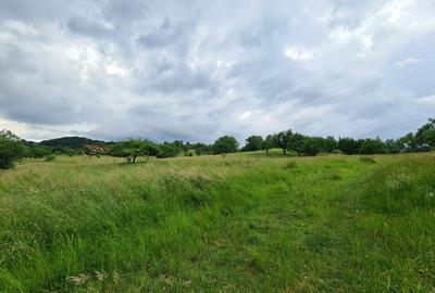 Parcele Teren cu PUZ si toate utilitatile / Cisnadioara-Sibiu - 9