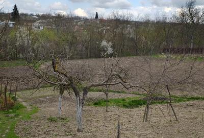 Casă cu 3 camere în Smulți - 2