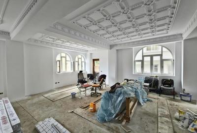 Vila complet refacuta, 250 mp curte ,  Aviatorilor - 9