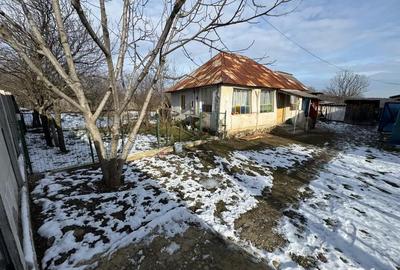 Casă cu Teren 5000 Mp în Bulzești - 1