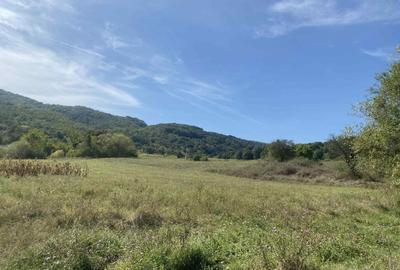 Casa de vanzare+teren - 6