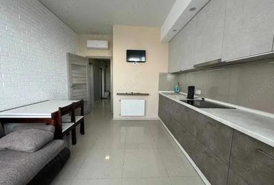 Se inchiriaza garsoniera, Calea Victoriei Se inchiriaza garsoniera, Calea Victoriei - 3