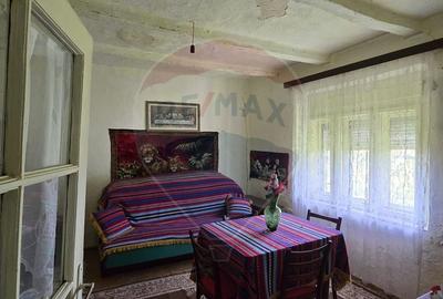 Casa  cu livada 2880 mp in Adea la 4km de Chisineu-Cris - 4