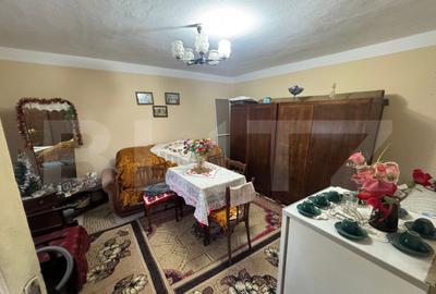 Casa, Comuna Apa ,Sat Someseni, 50mp, 17 ari teren - 7