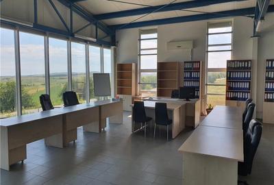 Spațiu comercial, de 360 mp, în Sava - 8