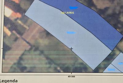 Casă cu 4 camere în Central - 3