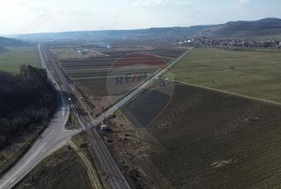 Teren de 19319 mp, în Hoghilag - 12