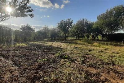 Gradina de vanzare intre Cristian si Orlat Gradina de vanzare intre Cristian si Orlat - 4