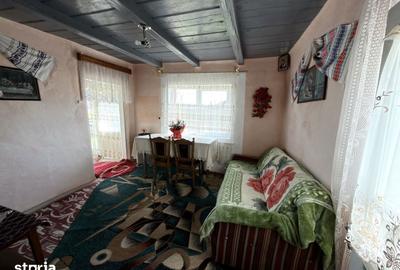 Casă cu 5 camere cu Teren 5000 Mp în Mihai Eminescu - 7