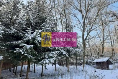 Casă de vânzare în Provița de Jos - 37