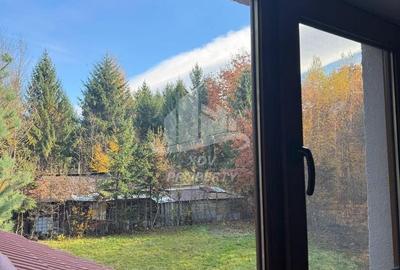 Pensiune/ Vila Valea Avrigului - 20