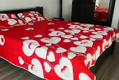 Apartament cu 2 camere semidecomandat, mobilat în Industrial Vest - 6