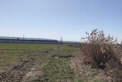 Teren extravilan de 4000 mp, în Mărăcineni - 19