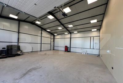 Hala 290,6 mp si 1263 mp teren, zona Carcea - 9