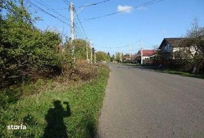 Spațiu comercial, în Bolintin-Deal - 12