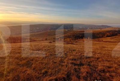 Teren de 8600 mp, în Sălicea - 1