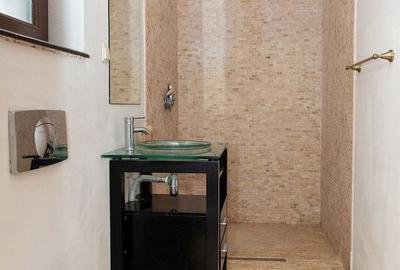 Casă individuală cu 11 camere cu Piscina în Apateu - 32