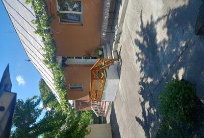 Vand casa sat Romanesti comuna Granicesti - 8
