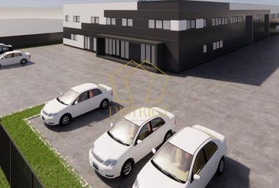 Hala industriala moderna | Sanandrei | 1308 MP - 2