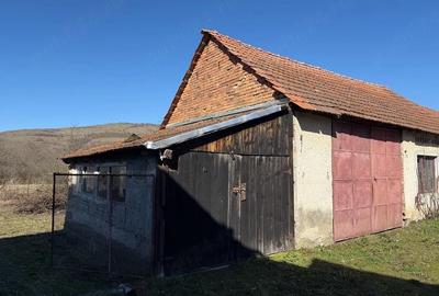 Casă cu 4 camere cu Teren 2059 Mp în Panc - 5
