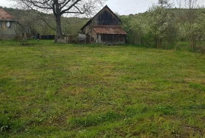 Casa de vanzare cu 3.000 mp teren OCNI?A, jud. B-N - 3