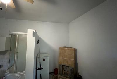 Casa-langa studiourile Buftea, 2 constructii, curte cu pomi, 2500mp, langa lac - 8