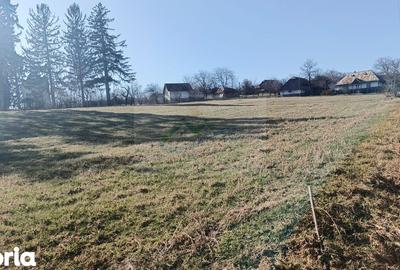 Teren de 4700 mp, în Brusturi - 3