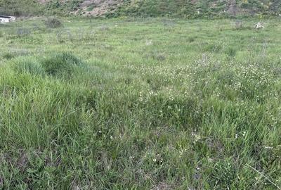 Teren Construcții intravilan de 2900 mp, în Cetate - 3