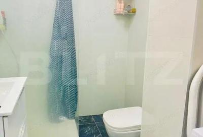 Apartament cu 3 camere decomandat, mobilat în Nufărul - 5