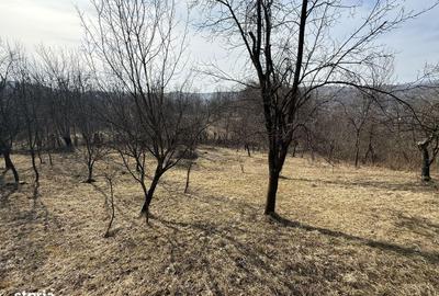 Spațiu comercial, în Central