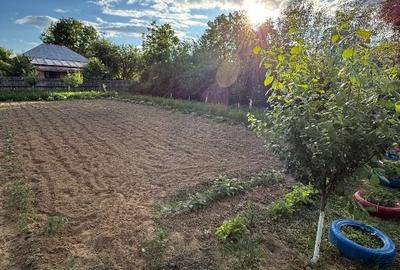 Teren Construcții intravilan de 1700 mp, în Bâlteni - 1
