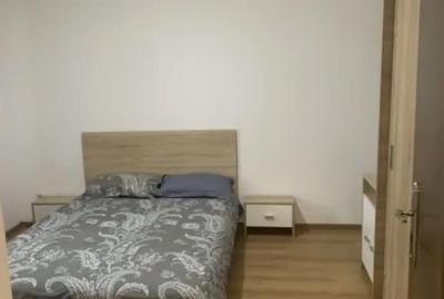 Apartament cu 2 camere semidecomandat, mobilat în Bariera Vâlcii - 5