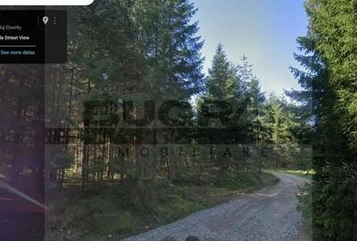 Teren de 1400 mp, în Bălcești (Beliș)
